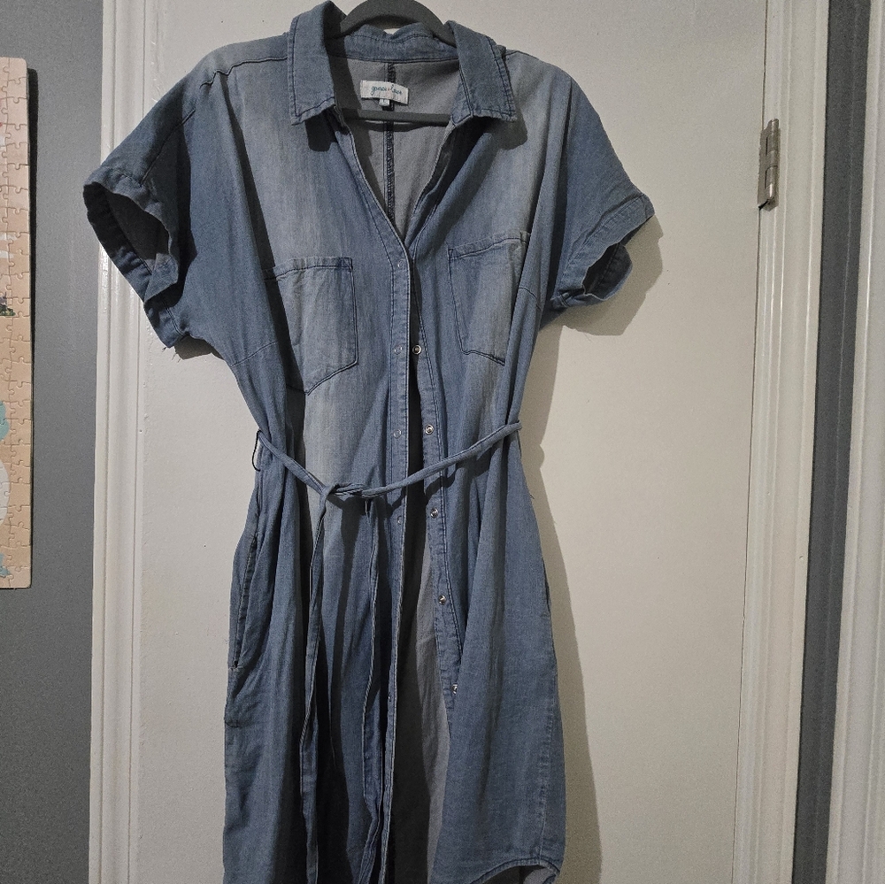 Denim Button-Up Dress